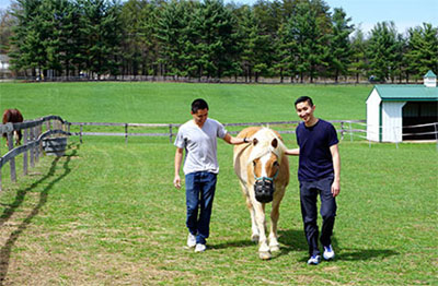 Medical students on a horse farm